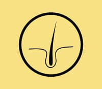 Logotipo do Rennovare - Transplante Capilar & Estética avançada